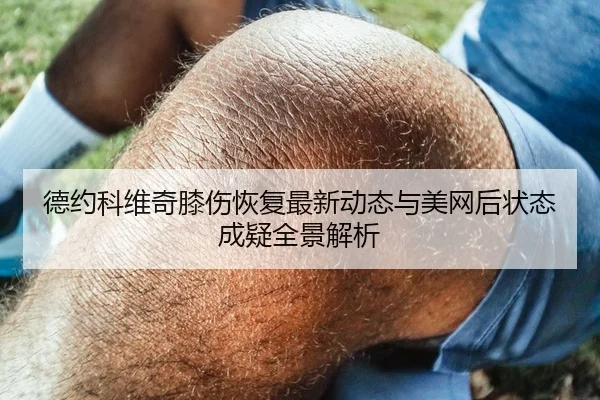 德约科维奇膝伤恢复最新动态与美网后状态成疑全景解析